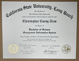 Read more about the article Order California State University Long Beach degree.