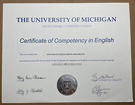 Read more about the article Are You Looking For University of Michigan Fake Diploma?