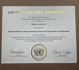 Read more about the article Can You Get Fake United Nations University Certificate?