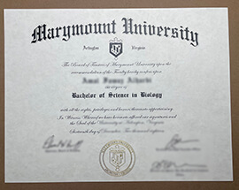 Read more about the article How Quickly Order Fake Marymount University Certificate?