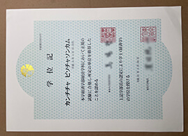 get University of Tokyo certificate