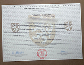 Read more about the article How to Get Brno University of Technology Certificate?