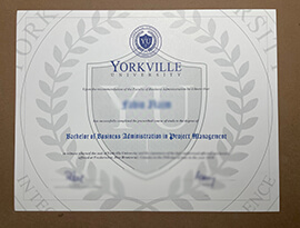 Read more about the article How Quickly to Get Yorkville University Certificate Online?