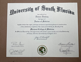 Read more about the article I Want to Order Fake University of South Florida Diploma?