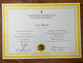 Read more about the article Where to purchase fake Yakin Dogu Universitesi Degree?