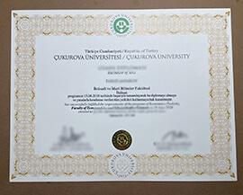 get Cukurova University degree