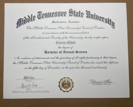 Read more about the article Obtain Middle Tennessee State University Certificate Online.