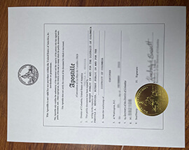 Read more about the article How to Buy District of Columbia Apostille Diploma?