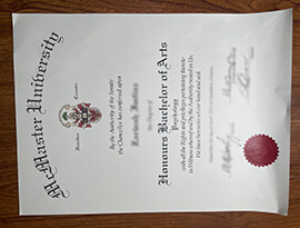 Read more about the article How Quickly Order Fake Mcmaster University Degree?