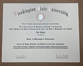 Read more about the article How to Order Fake Washington State University Certificate?