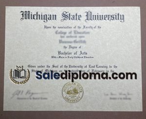 buy Michigan State University certificate