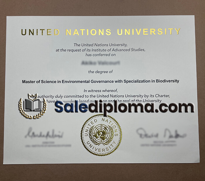 buy United Nations University certificate