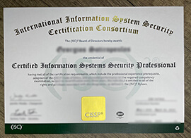 Read more about the article I Really Want To Get The CISSP Certificate Online.
