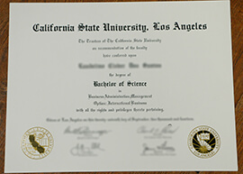 Read more about the article How Long Does It Take To Get A CSULA Certificate Online?