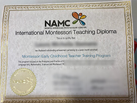 Read more about the article How Can I Get North American Montessori Center Diploma?