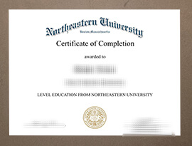 Read more about the article Can I Get A Fake Northeastern University Certificate?