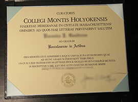 Read more about the article How to Get Mount Holyoke College certificate.