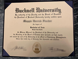 Read more about the article Who Can Make a Realistic Bucknell University diploma?