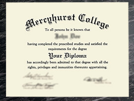 Read more about the article Who Know Make A Fake Mercyhurst College Diploma?