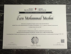 buy fake Istanbul Bilgi University diploma