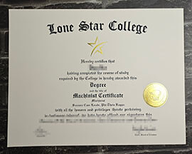 Read more about the article Where to buy fake Lone Star Academy diploma online?