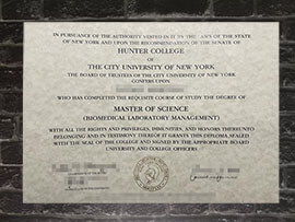 Read more about the article Where to make fake Hunter College diploma online?