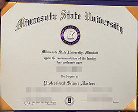 Read more about the article Can l order fake Minnesota State University diploma online?