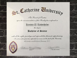 Read more about the article Where to order fake St Catherine University degree online?