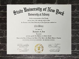 Read more about the article Where to order fake University at Albany, UAlbany diploma?