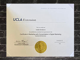 Read more about the article How long to fake UCLA Extension certificate online?