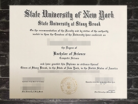 Read more about the article Can l order fake sdgsd Stony Brook University diploma?