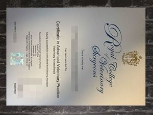 purchase fake Royal College of Veterinary Surgeons certificate