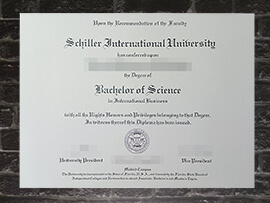 Read more about the article Where to make fake Schiller International University degree?